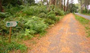 Señal de piste cyclable en la ruta de Contis Plage